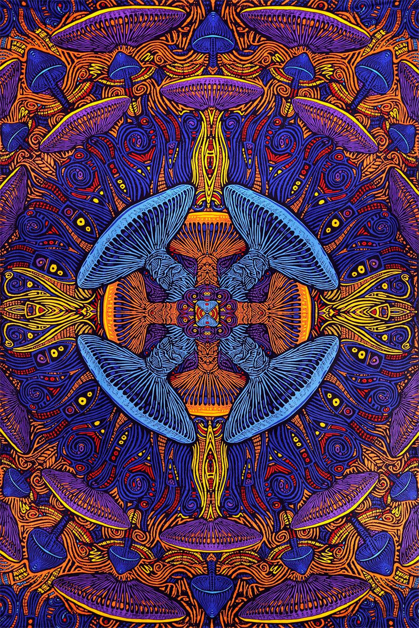 3D Magic Mushroom Tapestry 60x90" by Sunshine Joy