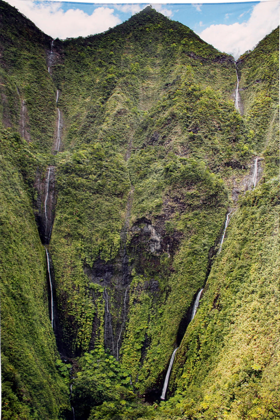 Jurassic Falls Heady Art Print Mini Tapestry 30x45" by Sunshine Joy