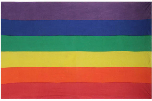 Rainbow Gay Pride Flag Mini Tapestry 30x45" by Sunshine Joy