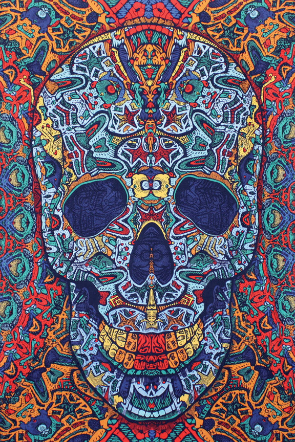 3D Skull Mini Tapestry 30x45 - Art by Chris Pinkerton