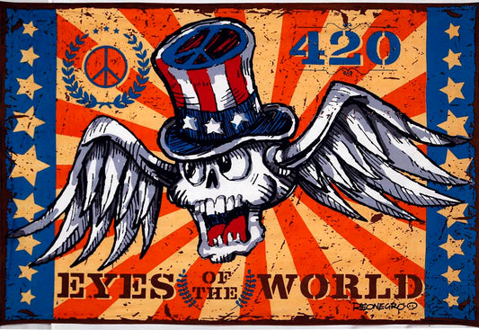 Eyes Of The World Mini Tapestry 30x45 - Artwork by Tony Reonegro