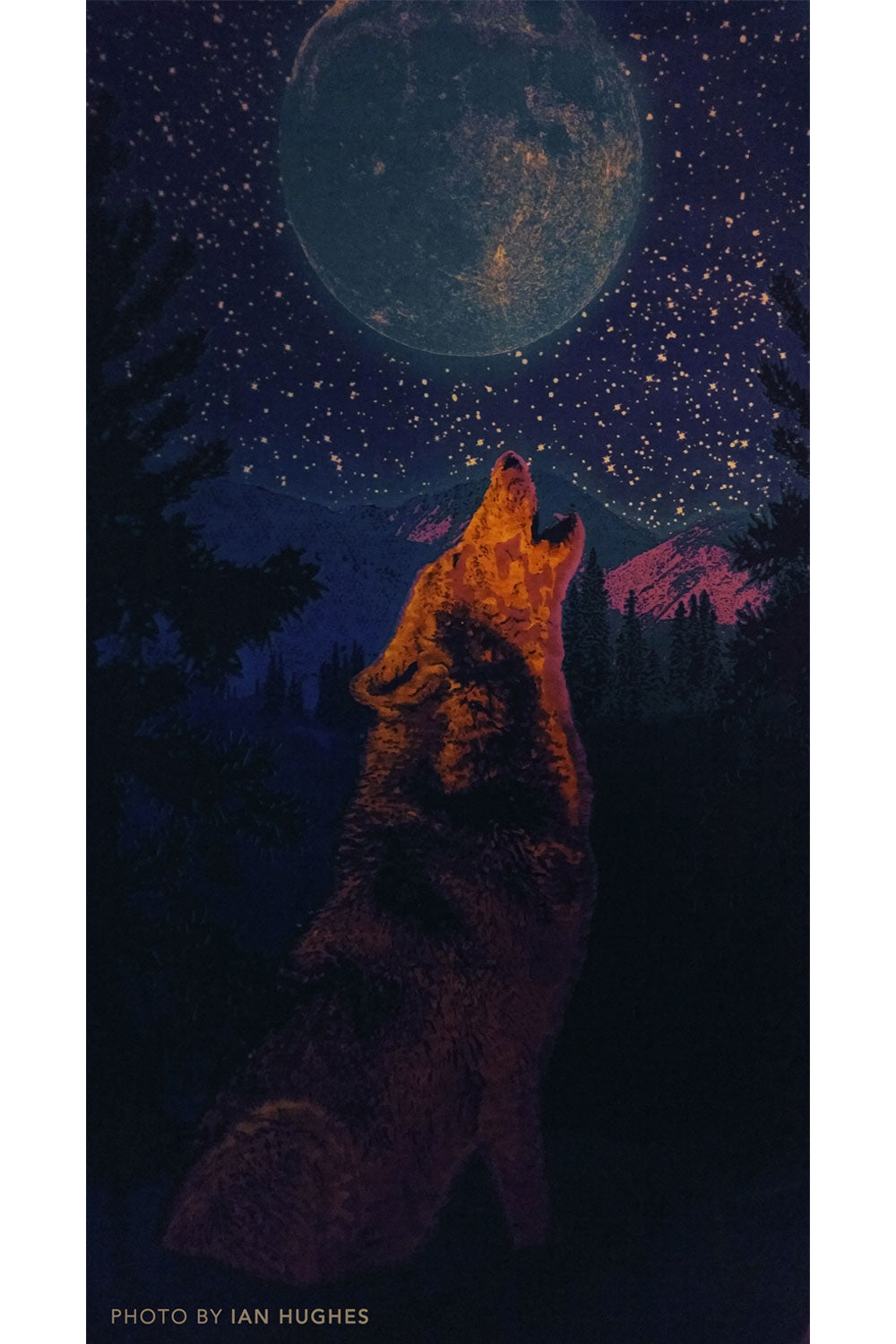 3D Glow in the Dark Wolf Tapestry 60x90